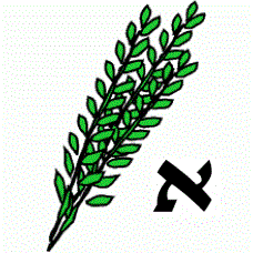 Extra Hadassim - Aleph